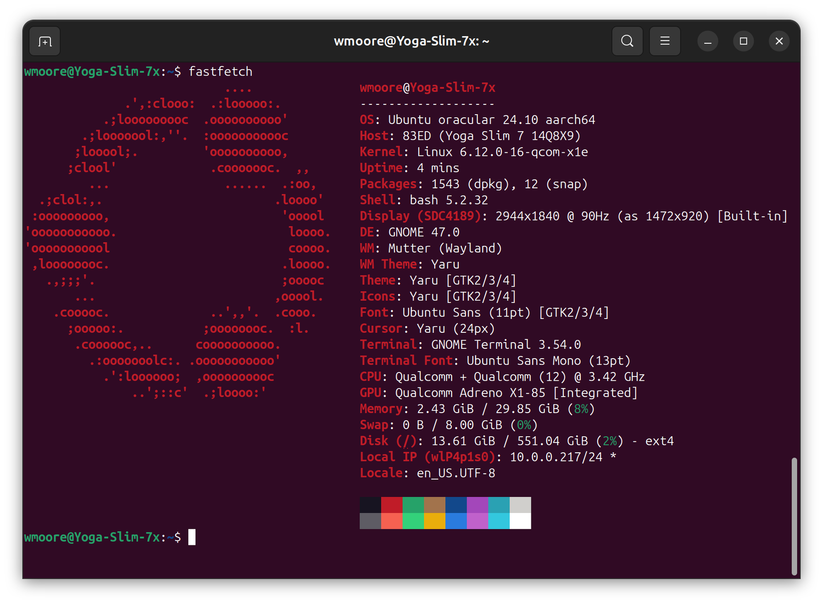 Screenshot of fastfetch output in a terminal window. The details indicate that it's running Ubuntu oracular 24.10 on aarch64.